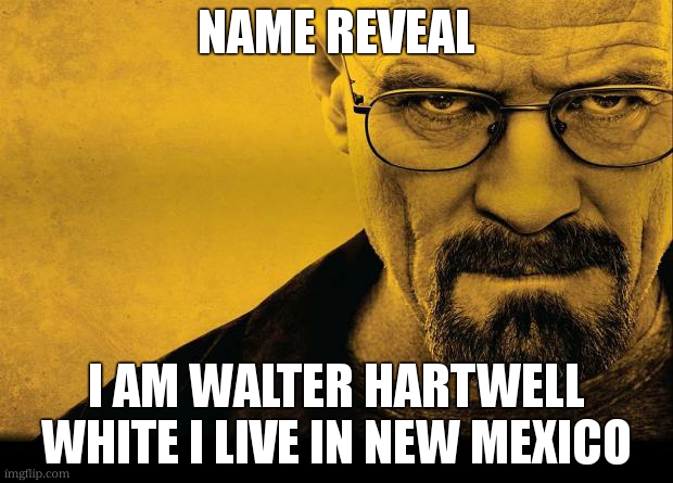 name reveal | NAME REVEAL; I AM WALTER HARTWELL WHITE I LIVE IN NEW MEXICO | image tagged in breaking bad,name reveal,bad joke | made w/ Imgflip meme maker