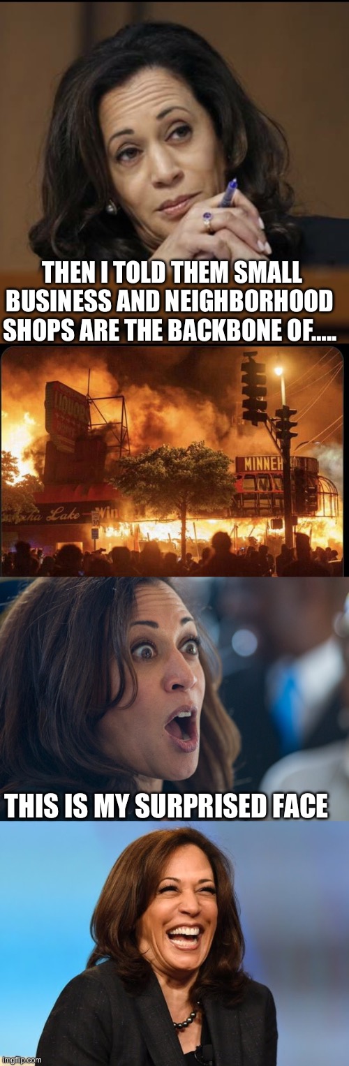 Opportunity Economy | THEN I TOLD THEM SMALL BUSINESS AND NEIGHBORHOOD SHOPS ARE THE BACKBONE OF….. THIS IS MY SURPRISED FACE | image tagged in kamala harris,2020,riots,democrats | made w/ Imgflip meme maker