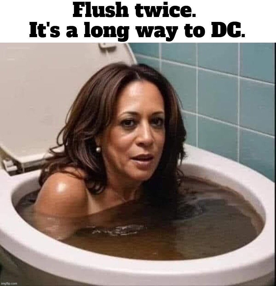 Voting Instructions: Flush twice. It's a long way to DC. | image tagged in kamala harris,shit for brains,turds,drain the swamp,swamp creature,bathroom humor | made w/ Imgflip meme maker