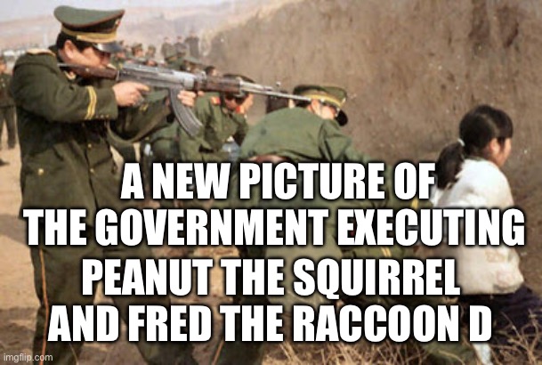 Communist execution | A NEW PICTURE OF THE GOVERNMENT EXECUTING; PEANUT THE SQUIRREL AND FRED THE RACCOON D | image tagged in communist execution,peanuts,government | made w/ Imgflip meme maker