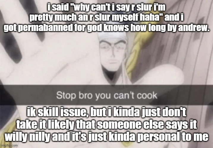 Stop bro you can't cook | i said "why can't i say r slur i'm pretty much an r slur myself haha" and i got permabanned for god knows how long by andrew. ik skill issue, but i kinda just don't take it likely that someone else says it willy nilly and it's just kinda personal to me | image tagged in stop bro you can't cook | made w/ Imgflip meme maker