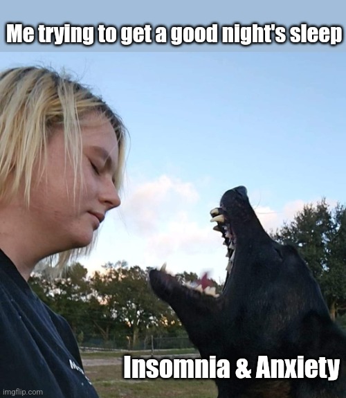 Insomnia & Anxiety | Me trying to get a good night's sleep; Insomnia & Anxiety | image tagged in life is rough,insomnia,anxiety,sleep,no sleep,dog | made w/ Imgflip meme maker