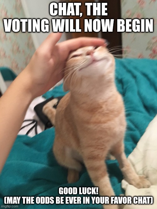 https://forms.office.com/Pages/ResponsePage.aspx?id=DQSIkWdsW0yxEjajBLZtrQAAAAAAAAAAAANAAUyyA_9UQkdROUFOM0VPSzZIRVVJMjZNRlBCOFk2 | CHAT, THE VOTING WILL NOW BEGIN; GOOD LUCK!
(MAY THE ODDS BE EVER IN YOUR FAVOR CHAT) | image tagged in cat pat | made w/ Imgflip meme maker