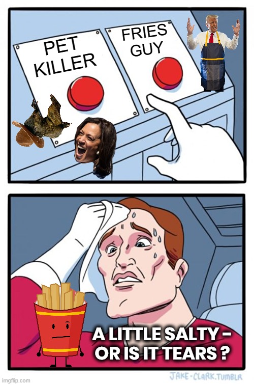 TOUGH CHOICE ?? | FRIES
GUY; PET
KILLER; A LITTLE SALTY -
OR IS IT TEARS ? | image tagged in pets,killer,big government,kamala harris,fries,trump | made w/ Imgflip meme maker