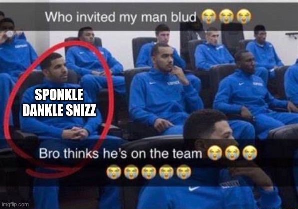 Bro thinks he's on the team | SPONKLE DANKLE SNIZZ | image tagged in bro thinks he's on the team | made w/ Imgflip meme maker