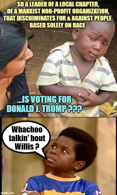 SO A LEADER OF A LOCAL CHAPTER,
OF A MARXIST NON-PROFIT ORGANIZATION,
THAT DISCRIMINATES FOR & AGAINST PEOPLE 
BASED SOLELY ON RACE ...IS VO | image tagged in memes,third world skeptical kid,whatchoo talkin about willis | made w/ Imgflip meme maker