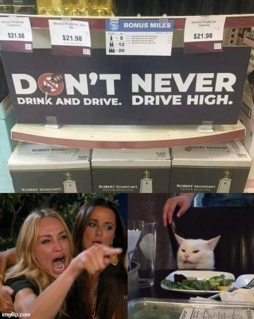 Formatting Matters | image tagged in memes,woman yelling at cat | made w/ Imgflip meme maker