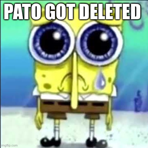 Moonstar note: Pato has an alt.
Tako note: what Moonstar said Benoit: Ik | PATO GOT DELETED | image tagged in sad spongebob | made w/ Imgflip meme maker