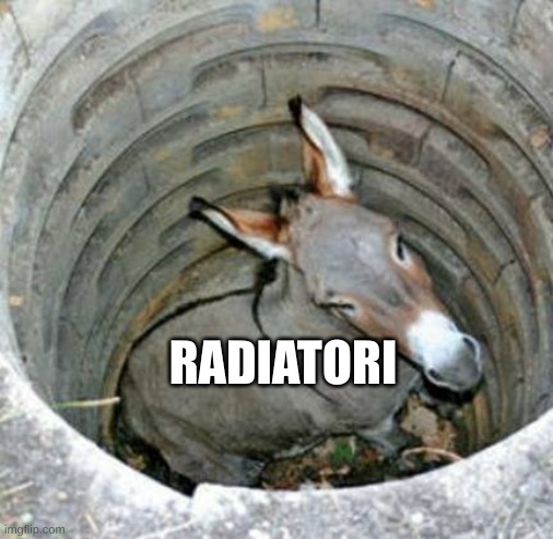 Donkey in a hole | RADIATORI | image tagged in donkey in a hole | made w/ Imgflip meme maker