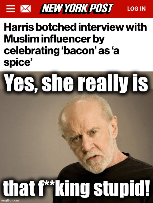 Kamala: offensive stupidity or stupidly offensive?! | Yes, she really is; that f**king stupid! | image tagged in george carlin,memes,kamala harris,muslim interview,bacon,spice | made w/ Imgflip meme maker