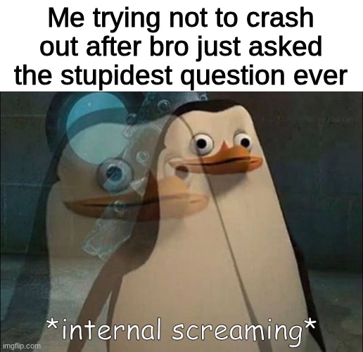 bro is NOT onto something | Me trying not to crash out after bro just asked the stupidest question ever | image tagged in private internal screaming | made w/ Imgflip meme maker