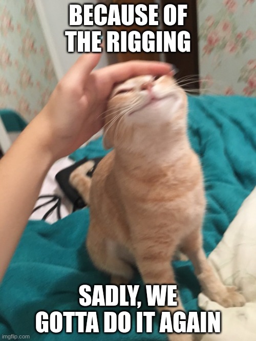 shame | BECAUSE OF THE RIGGING; SADLY, WE GOTTA DO IT AGAIN | image tagged in cat pat | made w/ Imgflip meme maker