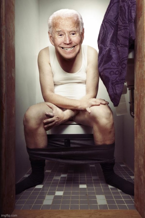 what is this temp bro | image tagged in biden toilet | made w/ Imgflip meme maker