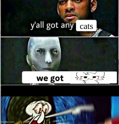 yall got any | cats | image tagged in yall got any | made w/ Imgflip meme maker