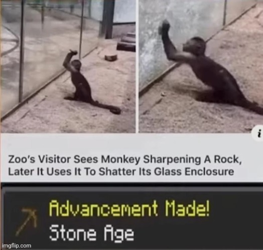 Rock | image tagged in achievement made,monkey,memes,reposts,repost,rock | made w/ Imgflip meme maker