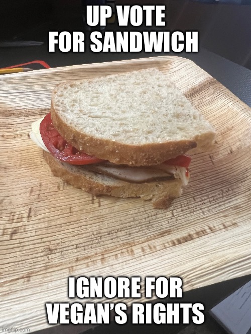 UP VOTE FOR SANDWICH; IGNORE FOR VEGAN’S RIGHTS | image tagged in sandwich | made w/ Imgflip meme maker