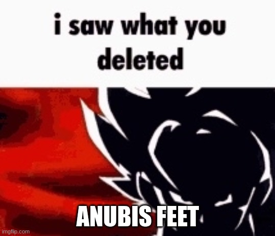 @Lord_Memus | ANUBIS FEET | image tagged in i saw what you deleted | made w/ Imgflip meme maker