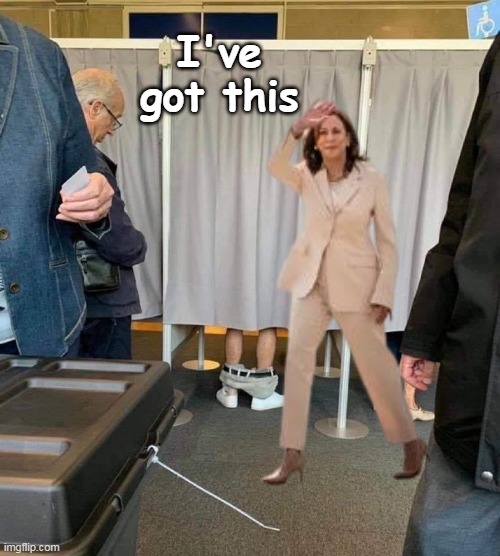 Kamala The Hands On Candidate | I've got this | image tagged in kamala voting booth meme | made w/ Imgflip meme maker