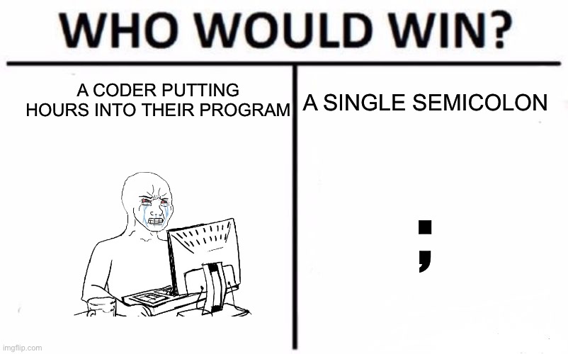 Who Would Win? | A CODER PUTTING HOURS INTO THEIR PROGRAM; A SINGLE SEMICOLON; ; | image tagged in memes,who would win | made w/ Imgflip meme maker