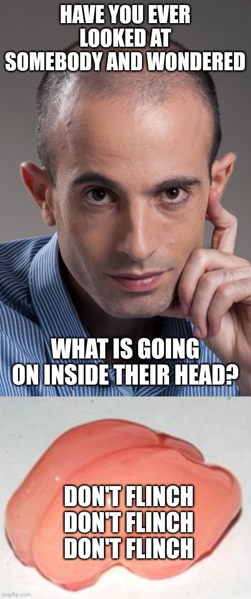 HAVE YOU EVER LOOKED AT SOMEBODY AND WONDERED; WHAT IS GOING ON INSIDE THEIR HEAD? DON'T FLINCH DON'T FLINCH DON'T FLINCH | image tagged in yuval harari,smooth brain | made w/ Imgflip meme maker