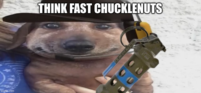 . | THINK FAST CHUCKLENUTS | image tagged in chucklenuts | made w/ Imgflip meme maker