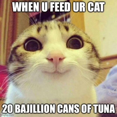 20 bajillion cans of tuna…something any cat accepts | WHEN U FEED UR CAT; 20 BAJILLION CANS OF TUNA | image tagged in memes,smiling cat,cat,tuna,happy cat,feed me | made w/ Imgflip meme maker