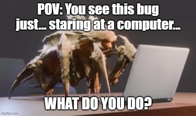 uh...funni rules in tags (sequel to 8wra5b) | POV: You see this bug just... staring at a computer... WHAT DO YOU DO? | image tagged in terminids,helldivers 2,no erp,jokes are allowed,erm,go nuts | made w/ Imgflip meme maker