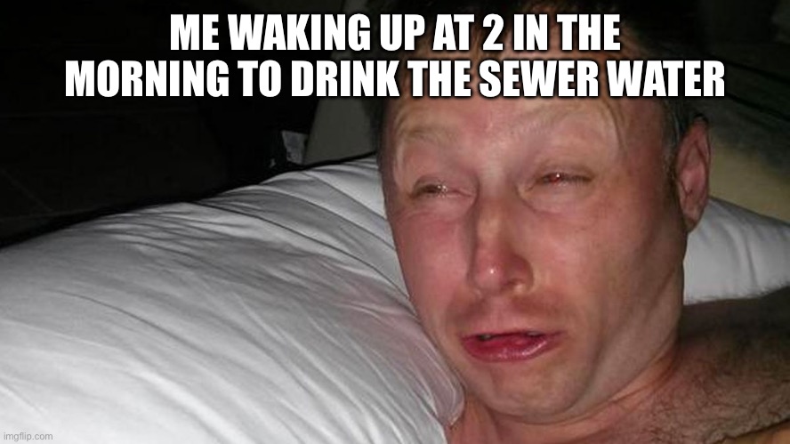 Best drink ever | ME WAKING UP AT 2 IN THE MORNING TO DRINK THE SEWER WATER | image tagged in woken up | made w/ Imgflip meme maker