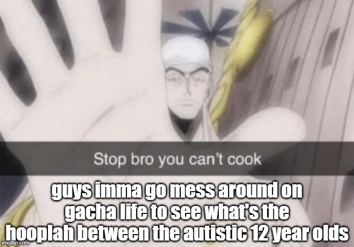 Stop bro you can't cook | guys imma go mess around on gacha life to see what's the hooplah between the autistic 12 year olds | image tagged in stop bro you can't cook | made w/ Imgflip meme maker
