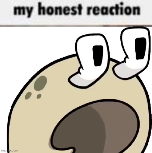 slug goofster | image tagged in my honest reaction | made w/ Imgflip meme maker