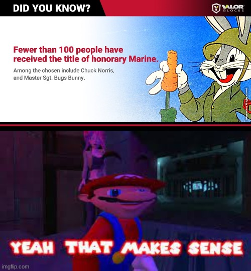 MERICA | image tagged in yeah that makes sense,bugs bunny,america,who knew,chuck norris approves | made w/ Imgflip meme maker