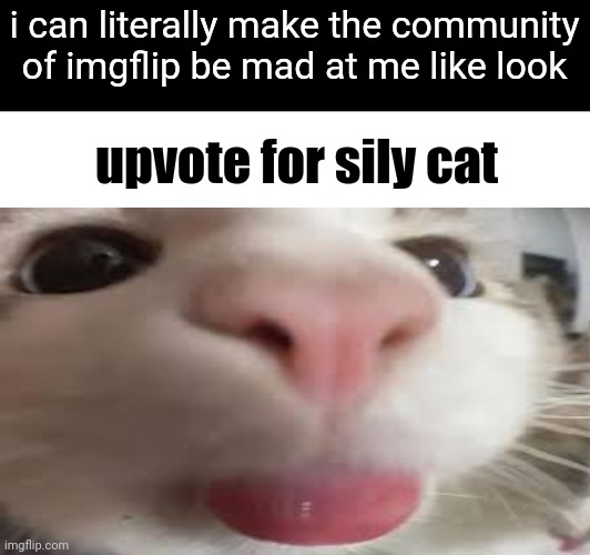 i hope this proves my point | i can literally make the community of imgflip be mad at me like look; upvote for sily cat | image tagged in funny,memes,that's just silly cat | made w/ Imgflip meme maker