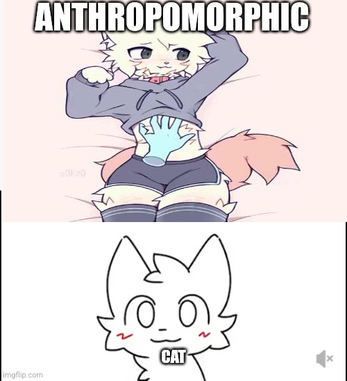 ANTHROPOMORPHIC; CAT | made w/ Imgflip meme maker