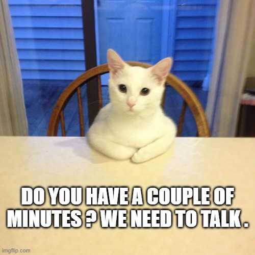 memes by Brad - Cute cat wants to sit and talk with you - humor | DO YOU HAVE A COUPLE OF MINUTES ? WE NEED TO TALK . | image tagged in cats,funny,kitten,funny cat memes,cute kittens,humor | made w/ Imgflip meme maker