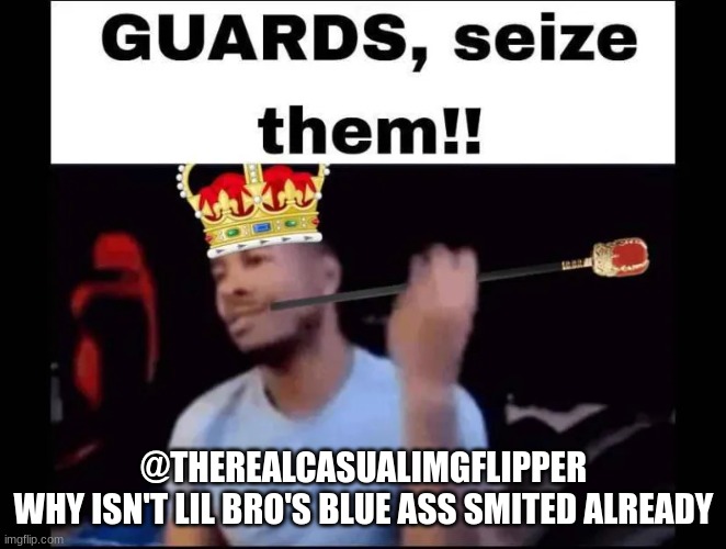 Guards seize them | @THEREALCASUALIMGFLIPPER
WHY ISN'T LIL BRO'S BLUE ASS SMITED ALREADY | image tagged in guards seize them | made w/ Imgflip meme maker