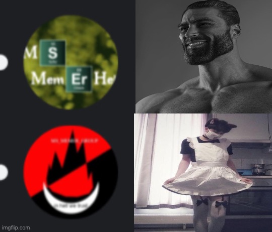 ms_memer_hell is the superior msmg server | image tagged in blank white template | made w/ Imgflip meme maker