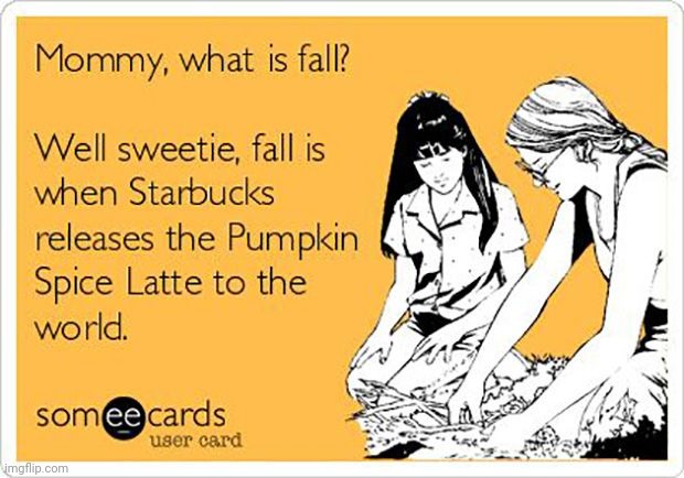 Autumn be like | image tagged in autumn,pumpkin spice,starbucks,coffee,family life,latte | made w/ Imgflip meme maker