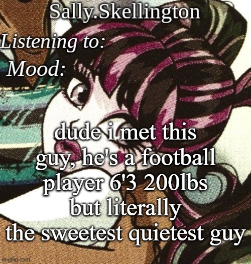 sally's temp | dude i met this guy, he's a football player 6'3 200lbs but literally the sweetest quietest guy | image tagged in sally's temp | made w/ Imgflip meme maker