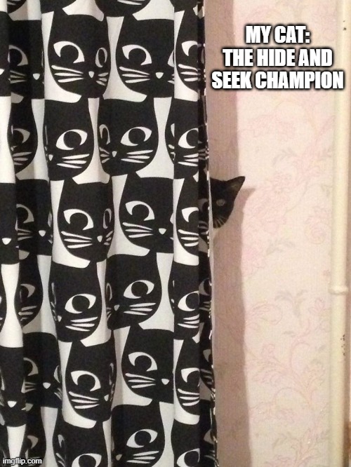 memes by Brad - My cat is a Hide And Seek champion | MY CAT: THE HIDE AND SEEK CHAMPION | image tagged in funny,cats,hide and seek,kitten,funny cat,humor | made w/ Imgflip meme maker