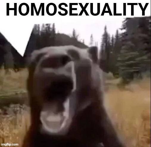 Fedy Faber | HOMOSEXUALITY | image tagged in fedy faber | made w/ Imgflip meme maker
