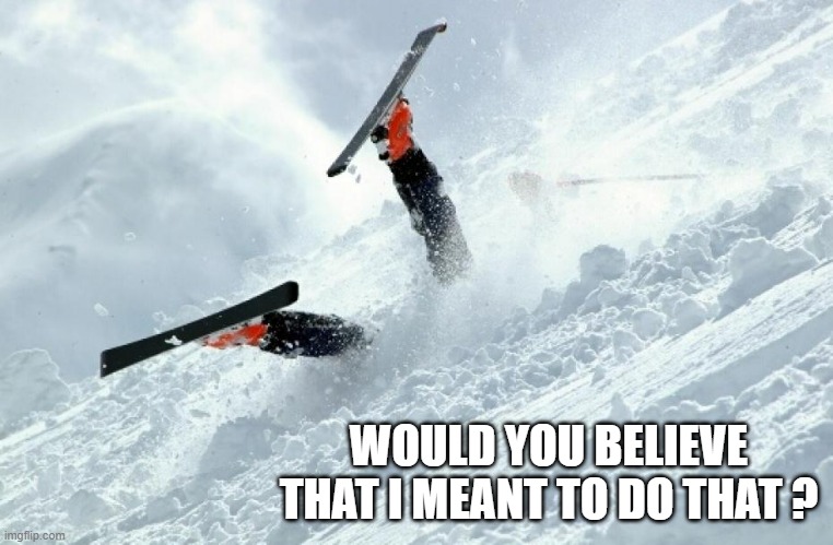 memes by Brad - Skier says he meant to do this - humor | WOULD YOU BELIEVE THAT I MEANT TO DO THAT ? | image tagged in funny,sports,skiing,fails,humor,crash | made w/ Imgflip meme maker