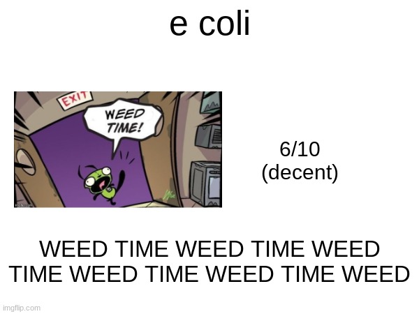 e coli; 6/10
(decent); WEED TIME WEED TIME WEED TIME WEED TIME WEED TIME WEED | made w/ Imgflip meme maker