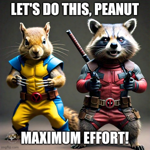 LET'S DO THIS, PEANUT MAXIMUM EFFORT! | made w/ Imgflip meme maker