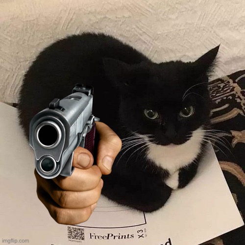 Maxwell with a gun | image tagged in cat,maxwell,guns | made w/ Imgflip meme maker