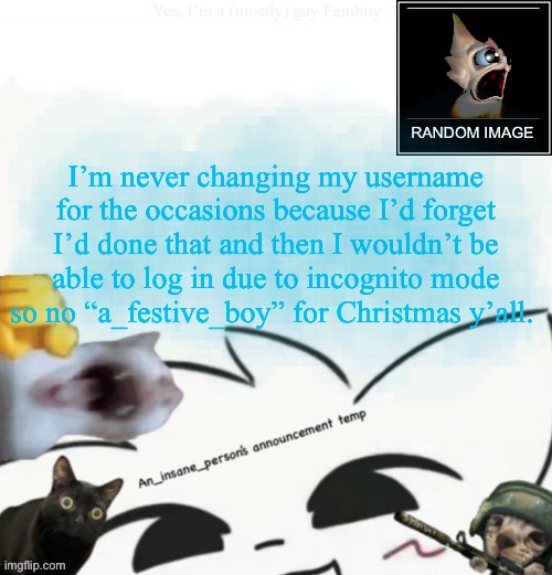 My lil announcement | I’m never changing my username for the occasions because I’d forget I’d done that and then I wouldn’t be able to log in due to incognito mode so no “a_festive_boy” for Christmas y’all. | image tagged in my lil announcement | made w/ Imgflip meme maker