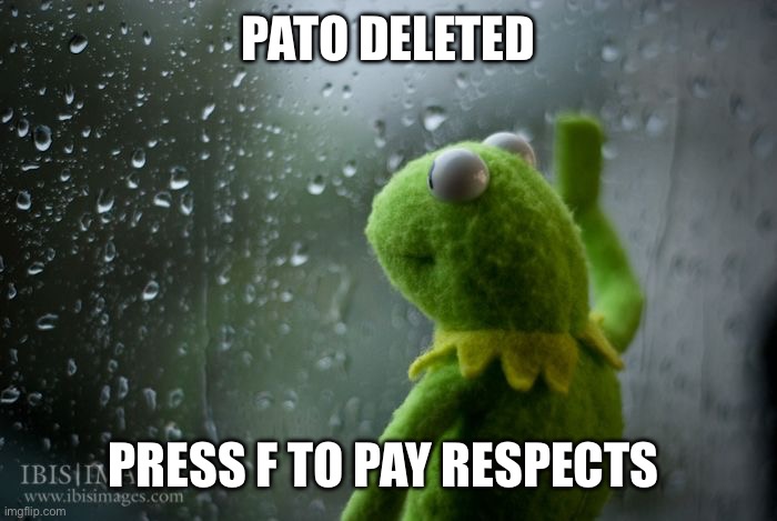 Moonstar note: He has an alt | PATO DELETED; PRESS F TO PAY RESPECTS | image tagged in kermit window | made w/ Imgflip meme maker