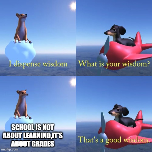 That's a good wisdom | SCHOOL IS NOT ABOUT LEARNING,IT'S ABOUT GRADES | image tagged in that's a good wisdom | made w/ Imgflip meme maker