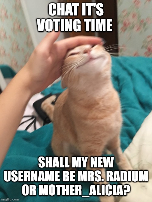 Plz let this be a normal fieldtrip- | CHAT IT'S VOTING TIME; SHALL MY NEW USERNAME BE MRS. RADIUM OR MOTHER_ALICIA? | image tagged in with the frizz,no way | made w/ Imgflip meme maker