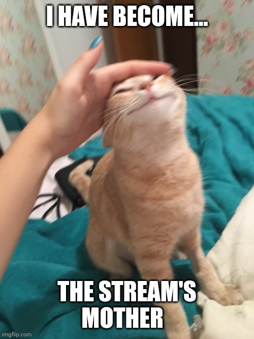 :3 | I HAVE BECOME... THE STREAM'S MOTHER | image tagged in cat pat | made w/ Imgflip meme maker