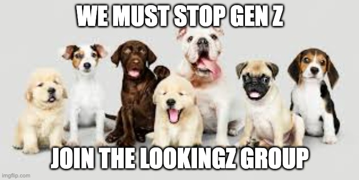 Join now before its to late | WE MUST STOP GEN Z; JOIN THE LOOKINGZ GROUP | image tagged in current events,help wanted | made w/ Imgflip meme maker